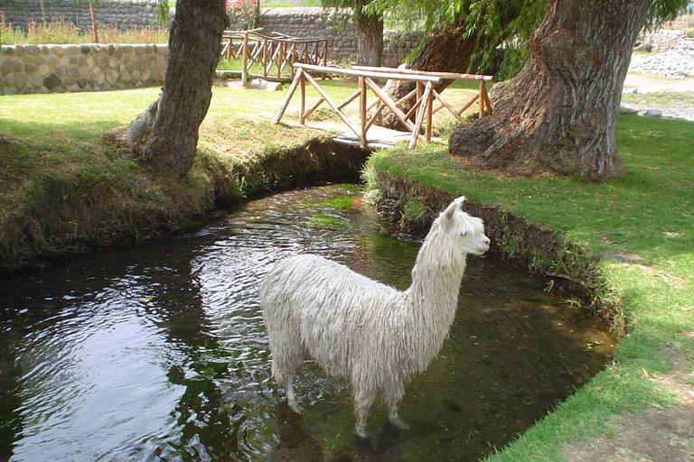 Arequipa: Sightseeing Tour of the Molino de Sabandía and the Andenes de Paucarpata