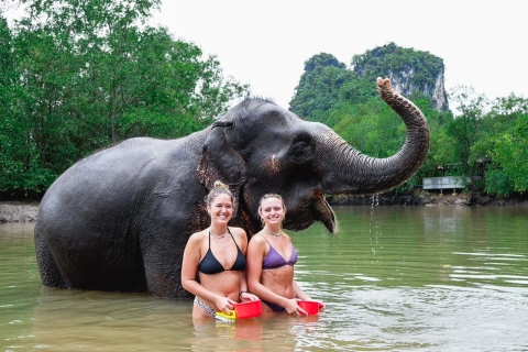 Krabi : Tour des points forts avec l'abri pour éléphants de Krabi