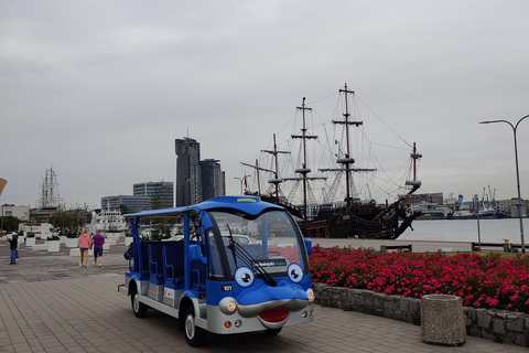 Danzig: VIP Stadtführung Golf Cart 2h+Gradowa Hill View PointDanzig: VIP City Sightseeing Tour Golf Cart 2h+Gradowa Hügel