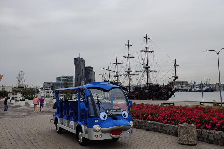 Danzig: VIP Stadtführung Golf Cart 2h+Gradowa Hill View PointDanzig: VIP City Sightseeing Tour Golf Cart 2h+Gradowa Hügel