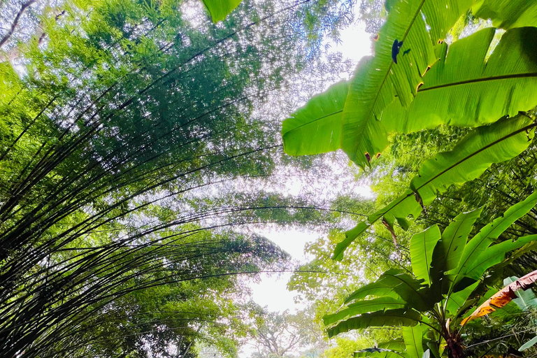 Chiang Mai 2-Day Adventure: Trekking, Tubing & Waterfalls 1-Night Jungle Stay - Trek, Tubing & Waterfall