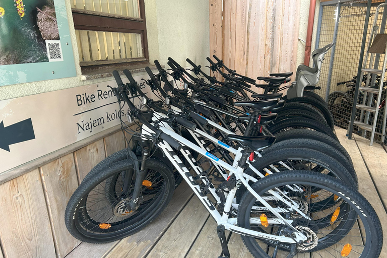 Bled: Scott Mountain Bike or E-Bike Rental Electric bike 6h - Scott SUB
