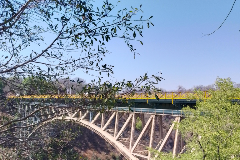 Victoria Falls: Guided Tour, Sunset Cruise, and Dinner