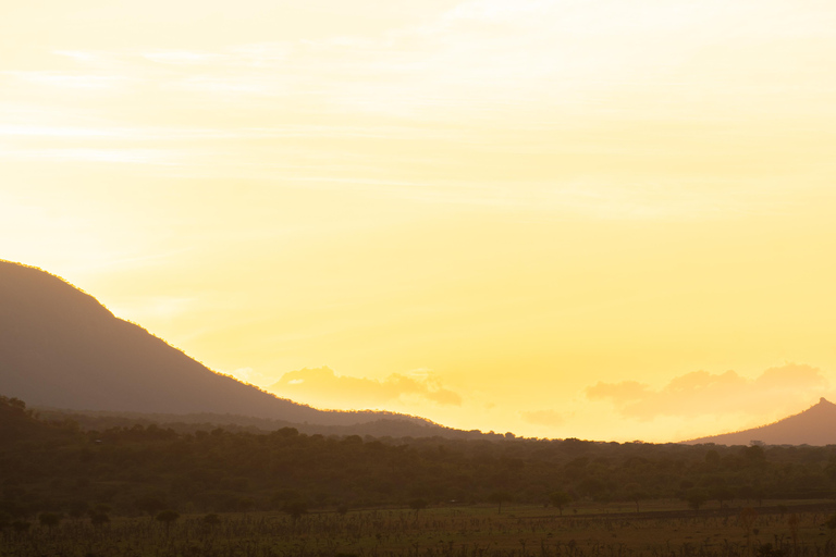 From Kampala: 3-Day Pian Upe Conservation Reserve Safari