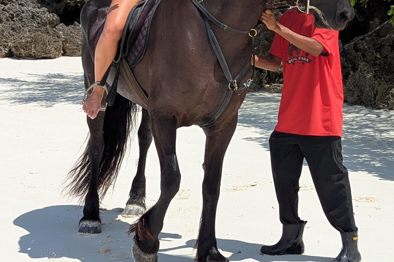 Zanzibar: Beach Horse Riding At Jambiani With Hotel Pick up PRIVATE TOUR WITH HOTEL PICK UP & NO ENTRY FEE INCLUDE