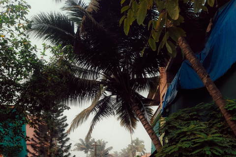 Gokarna TukTuk Temple Tour, Beach & Village Home Lunch
