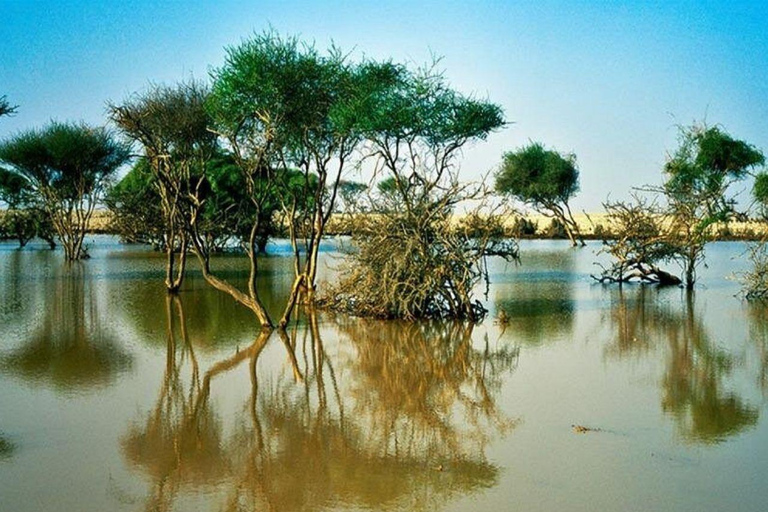 الدوحة: جولة إيكولوجية بصحبة مرشد في غابة المفرق المانغروفالدوحة: جولة إيكولوجية بصحبة مرشدين في غ
