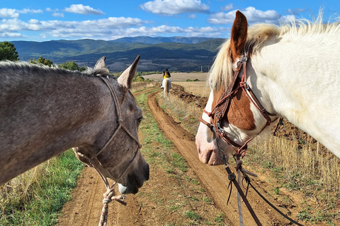 Sofia: Horse riding through the nearest paradise to Sofia