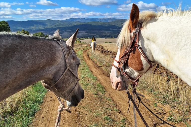 Sofia: Horse riding through the nearest paradise to Sofia