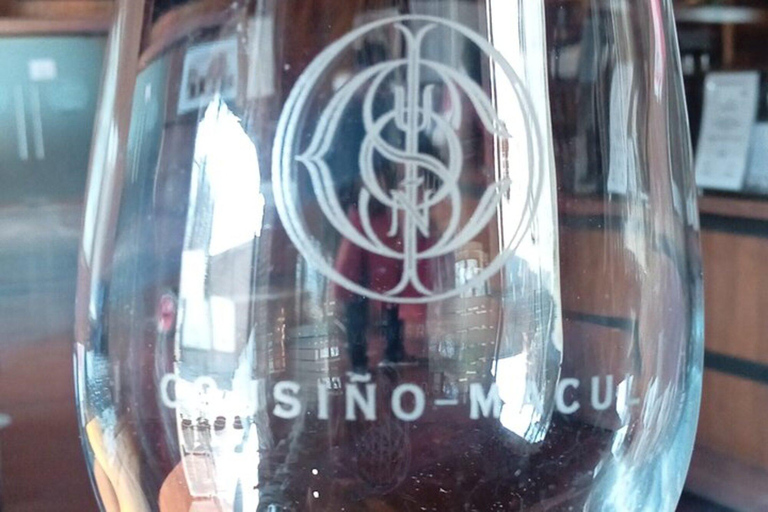 Santiago: Cousiño Macul Vineyard Premium Tasting Tour