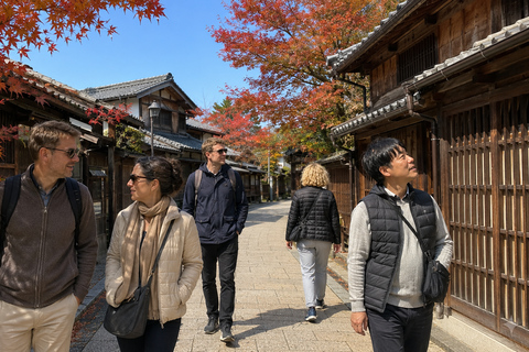 Nara: Autumn Colors, Deer & Historic Park Walk Early Bird 20% Off – Limited Autumn Offer