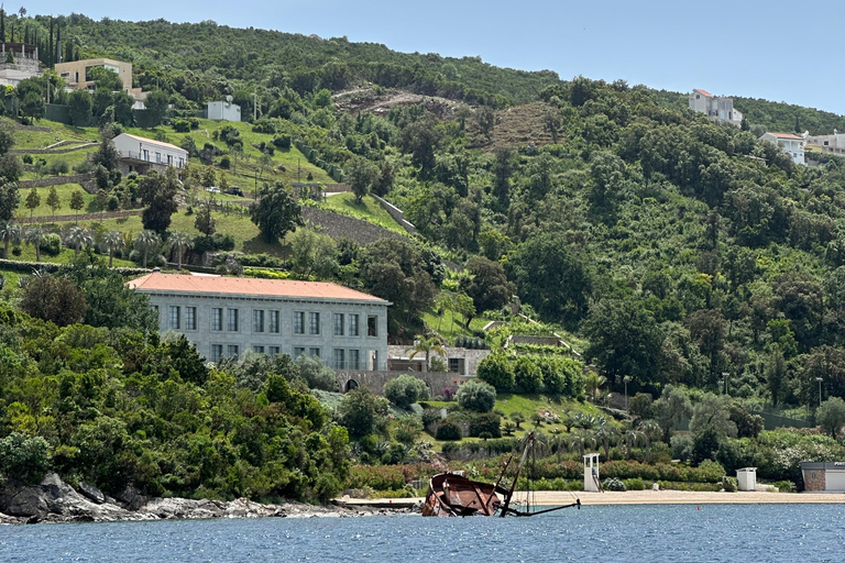 Kotor: prywatna wycieczka łodzią po Zatoce Kotor i Błękitnej Jaskini z drinkiemKOTOR: Prywatna wycieczka łodzią do Błękitnej Jaskini i Zatoki Kotorskiej + bezpłatne napoje