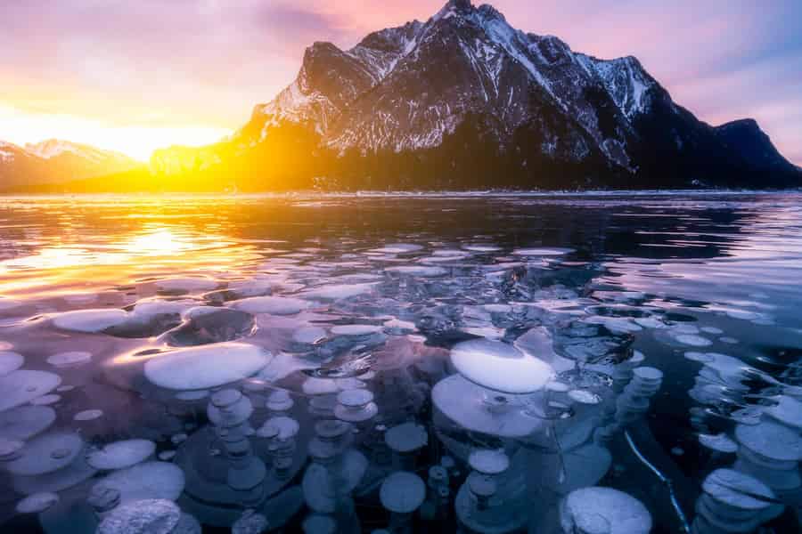 Abraham IceBubble, Bow Lake, Peyto Lake, Lake Louise – Tagestour. Foto: GetYourGuide