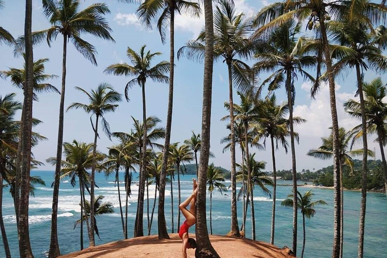 Colombo: Airport to Mirissa Coast Private Scenic Transfer