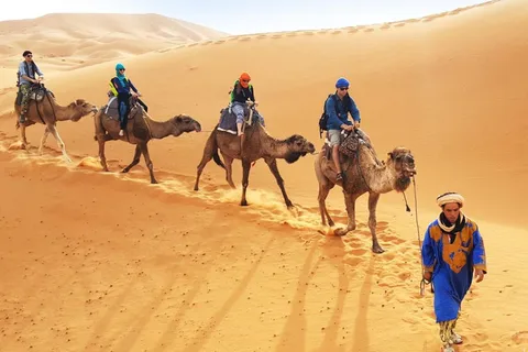 Agadir/Taghazout: Camel Ride on the desert & Sandboarding