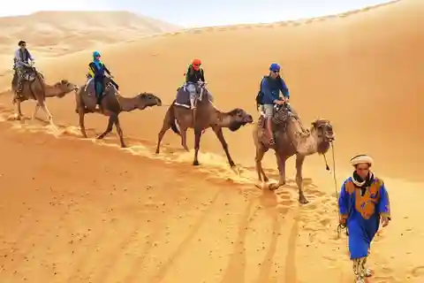 Agadir/Taghazout: Camel Ride on the desert & Sandboarding