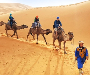 Agadir/Taghazout: Giro in cammello nel deserto e Sandboarding