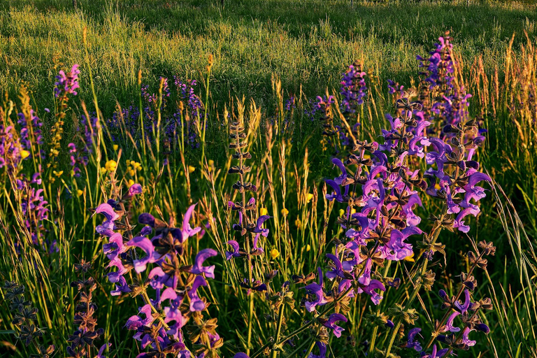 VIP Tour: Nürnberg-Munich-Salzburg + Transfer, Hotel & Meals