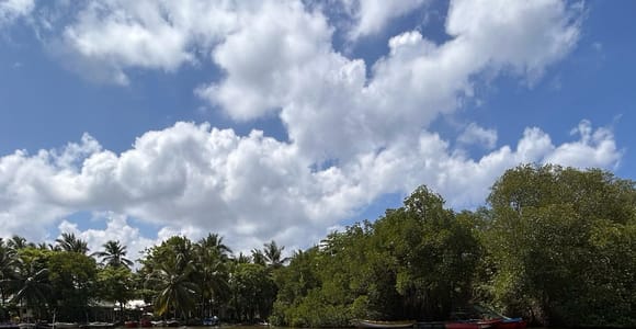 Balapitiya: Madu River Boat Tour