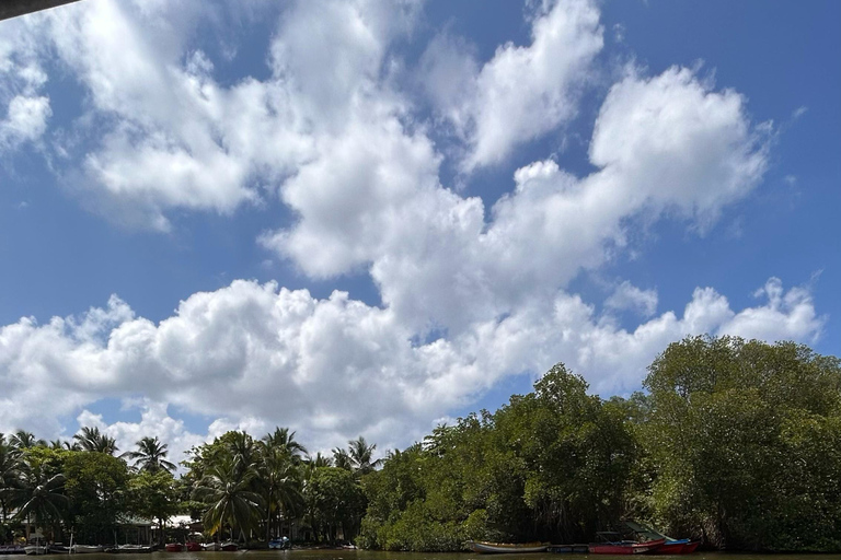 Balapitiya: Bootstour auf dem Madu-Fluss