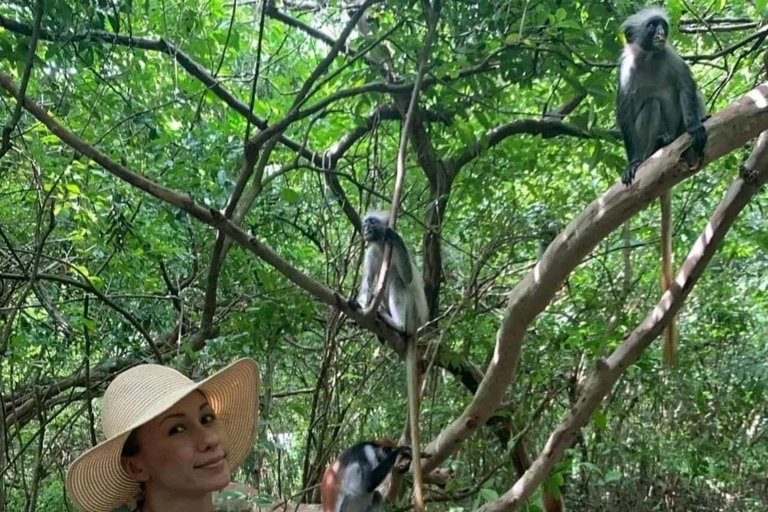 Błękitna Laguna, rozgwiazdy, żółwie, las Jozani i SkałaTransport hotelowy w regionie południowym