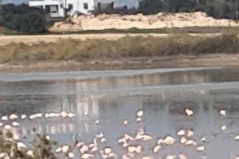 Ayia Napa: Sea Caves and Clay Pigeon Shooting Tour