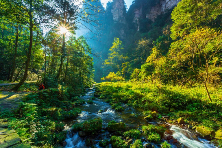 Zhangjiajie: Avatar Forest Park Group Tour or Ticket Big Group Tour with English Guide & Entry Ticket (11-16 ppl)
