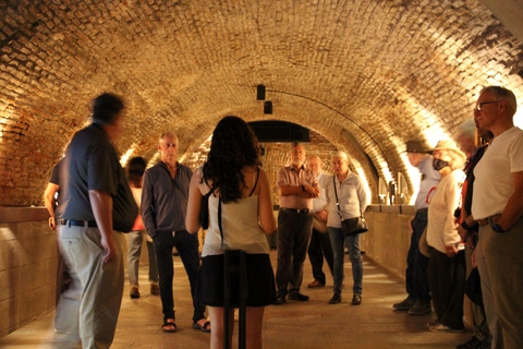 Buenos Aires: Zanjón de Granados Underground Guided Tour Guided Tour in English