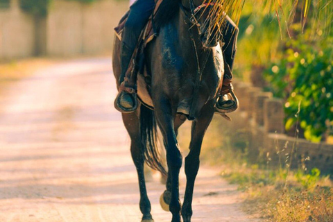 Side: Horse Safari and Family Activity Park Entry 2-Hour Extended Horse Safari Experience