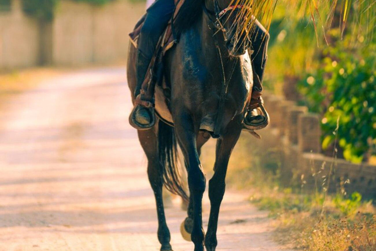 Side: Horse Safari and Family Activity Park Entry 2-Hour Extended Horse Safari Experience