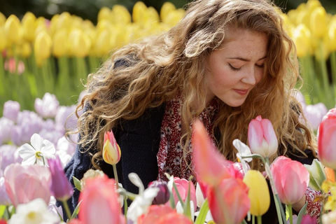 Amsterdam : Entrée au Keukenhof et transfert en navette aller-retour