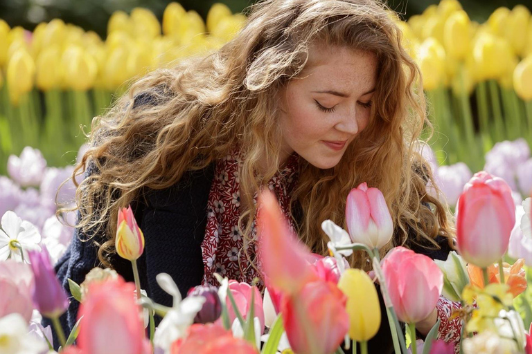 Amsterdam : Entrée au Keukenhof et transfert en navette aller-retour