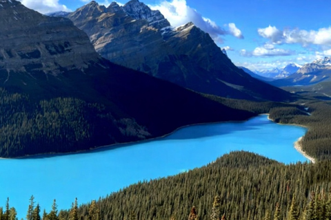 Calgary/Banff : Columbia Icefield, Skywalk, Crowfoot & lakes