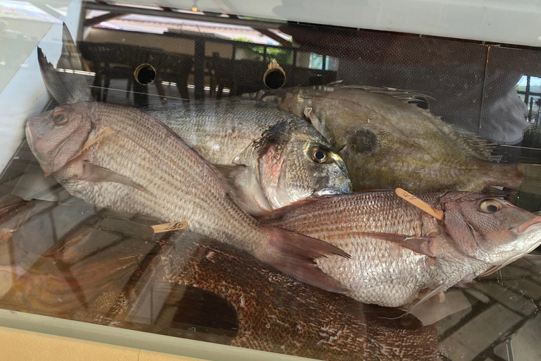 Split: Private Speedboat Charter 3 Islands Half-Day Boat Tour with Blue Lagoon