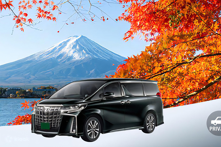 Tokyo: Private City Day Tour with English speaking Driver