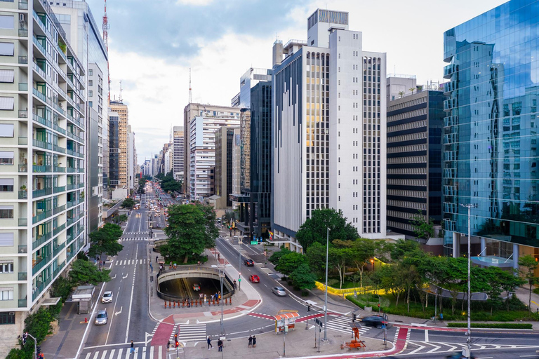 Best of Sao Paulo Highlights Private Guided Tour By Car 3-hour: Old Town Tour & Transport