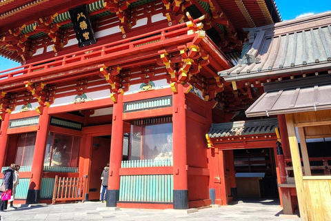 Tokyo: Private City Day Tour with English speaking Driver