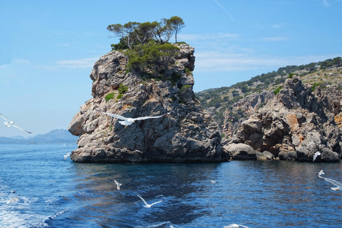 Can Picafort: Boat Trips along Mallorca's North Coast Cap Menorca