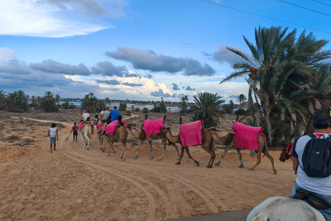 杰尔巴岛：在蓝色泻湖骑骆驼和骑马。杰尔巴：蓝色泻湖骑骆驼和骑马之旅。