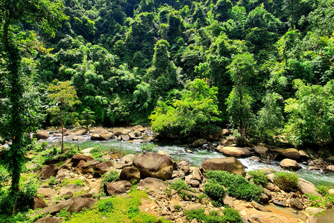 Khao Sok: All-Inclusive Day & Night Trek with Bamboo Dinner Option 2: Day & Night Trek with Bamboo Dinner From Khao Sok