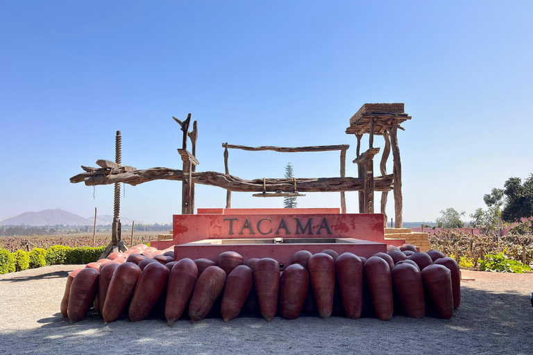 De Ica ou Huacachina: Pisco, vinho e buggy ao pôr do sol