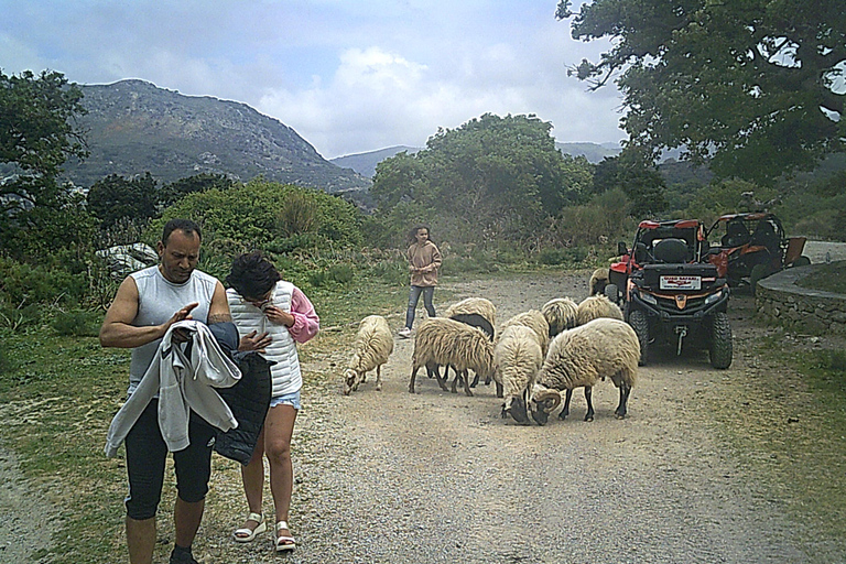 Crete buggy safari