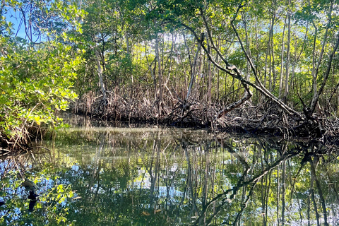 Private 4-Day Tour from Punta Cana/Bayahibe to Los Haitises