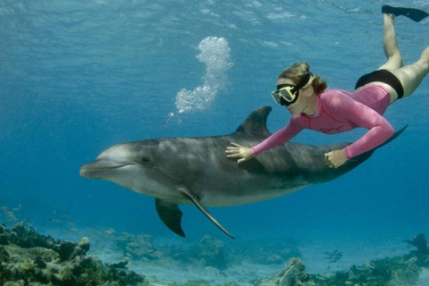 Mnemba Island: Guided Snorkeling & Dolphin Swim Experience Private Mnemba Island Snorkeling and dolphin swim