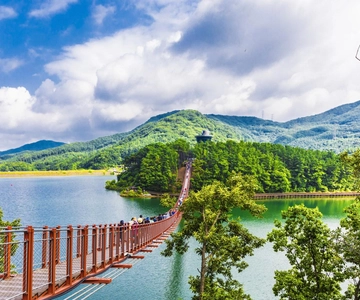Seoul: DMZ & Observatory Tour with Suspension Bridge or Boat
