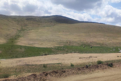 Gandan monastery and Hustai National park-all inclusive tour