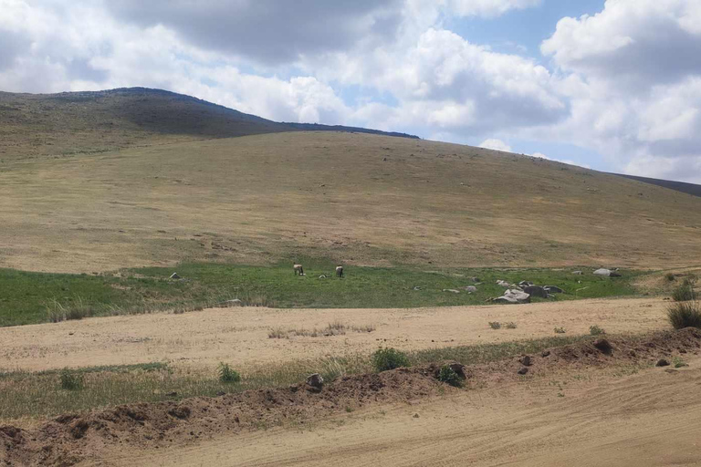 Gandan monastery and Hustai National park-all inclusive tour