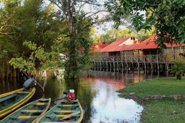 Depuis Iquitos || Tour de l'Amazone, des fleuves Nanay et Momon|||