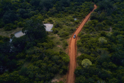 Van Arugambay naar Tangalle/Mirissa met Yala luipaardsafari