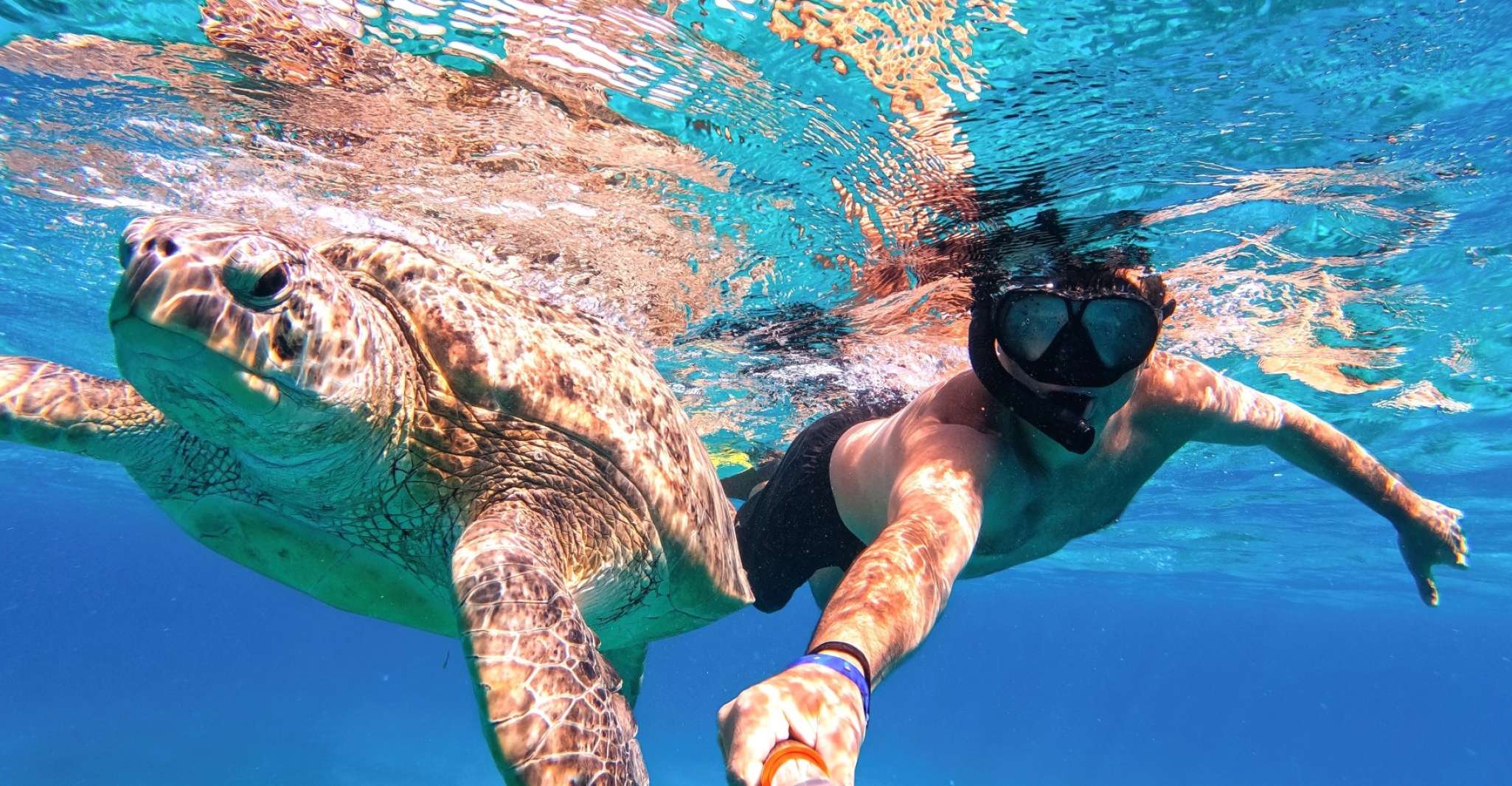 Marsa Alam, Snorkel with Sea Turtles Marsa Mubarak - Housity